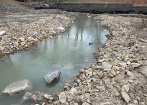 Sowinski Park Stream Restoration