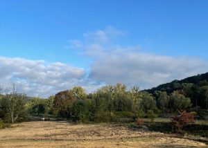 Cuyahoga River Riverwood Restoration