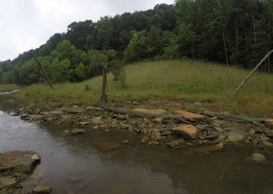 Buckeye Creek Stream Restoration
