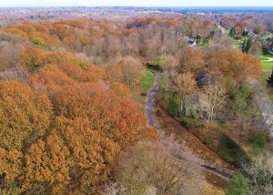 Pepper Creek Bank Stabilization and Restoration